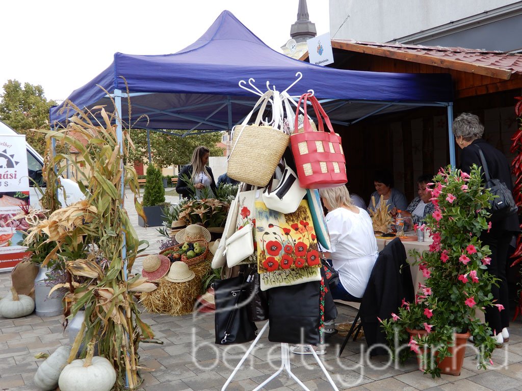 Helyi Értékek Startja 80